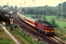 IMG_6965.jpeg