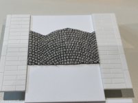 IMG_2229.jpeg