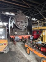 IMG_8690.jpeg
