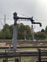 IMG_8704.jpeg