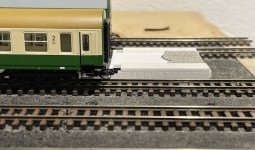 IMG_2234.jpeg