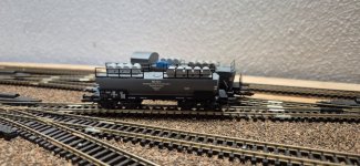 2026-02-06 Unkrautzug Karsei (2).jpeg