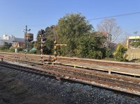 IMG_9896.jpeg