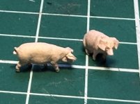 IMG_2218.jpeg