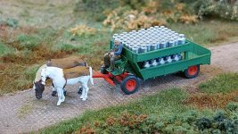 WhatsApp Image 2026-04-10 at 15.36.52.jpeg