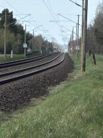 IMG_4462.jpeg