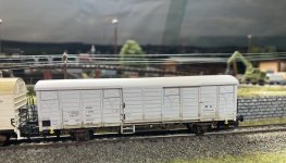 IMG_0396.jpeg