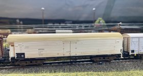 IMG_0395.jpeg