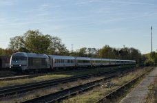 IMG_7328.jpeg
