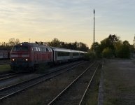 IMG_7333.jpeg