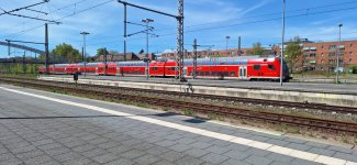 20260428_134008.jpg