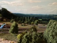 IMG_0759.jpeg