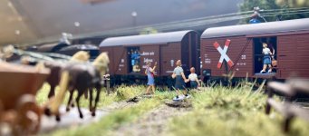 IMG_1084.jpeg