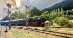 IMG_1100.jpeg