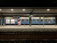 IMG_1341.jpeg