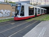 IMG_6162.jpeg