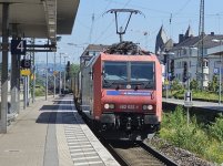 4617.jpg