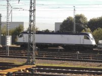 DSCI3254.JPG