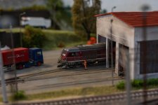 DSC09131.jpg