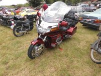 Gold Wing.JPG