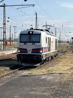 IMG_6350.jpeg