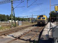 IMG_1983.jpeg