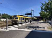 IMG_1981.jpeg
