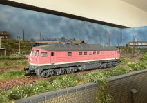 IMG_0072.jpeg