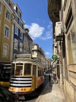 IMG_3387.jpeg
