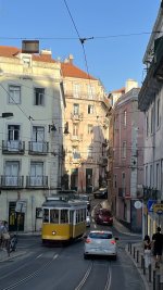 IMG_4339.jpeg