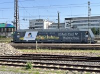 IMG_6522.jpeg