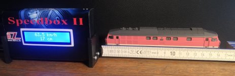 IMG_3363.jpeg