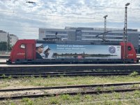 IMG_6530.jpeg