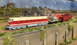IMG_0330.jpeg