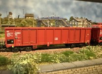 IMG_0328.jpeg