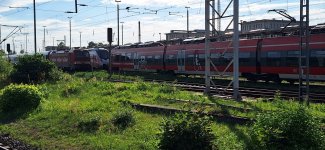 20260806_174541.jpg