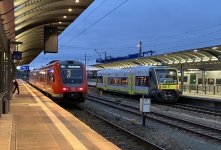IMG_2130.jpeg