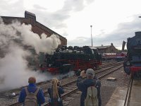 IMG_20260822_170341.jpg