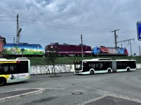 IMG_7855.jpeg