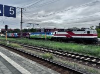 IMG_7857.jpeg