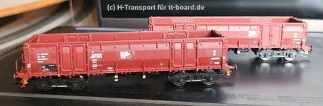 Bild1.jpg
