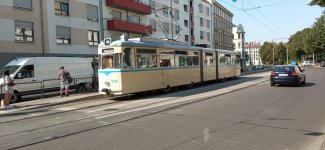 IMG_20260815_155657.jpg