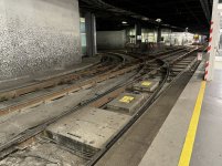 IMG_7177.jpeg