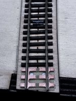 IMG_8287.jpeg
