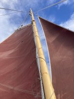 IMG_2123.jpeg