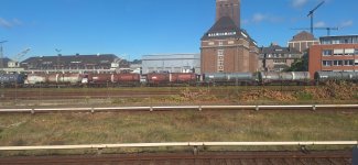 20260922_113055.jpg