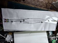 IMG_8319.jpeg