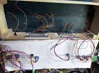 IMG_8320.jpeg