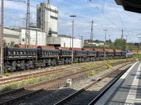 IMG_5617.jpeg