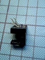 IMG_8381.jpeg